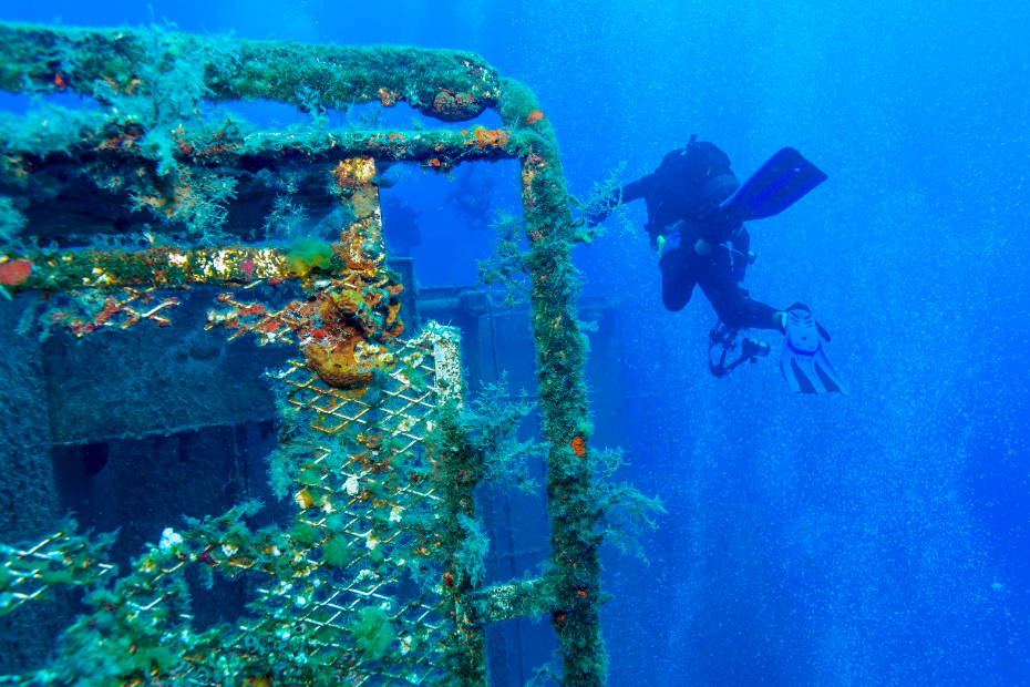 zenovia wreck diving cyprus