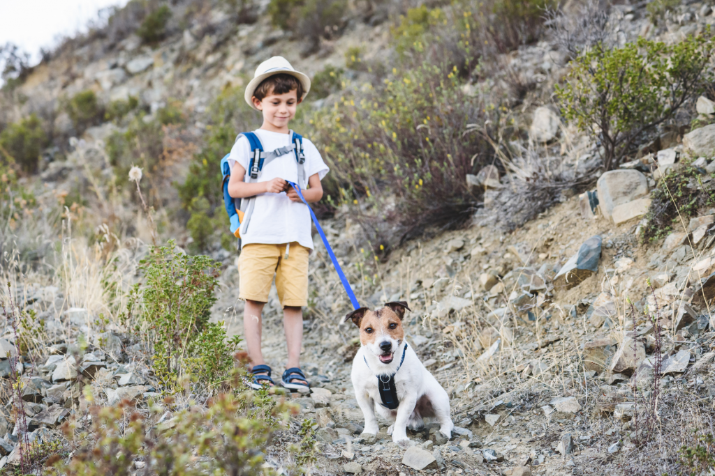 little boy walking a dog in the mountains cyprus